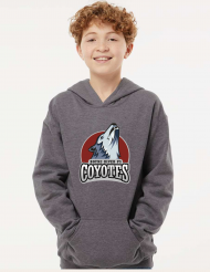 Boyne River Hoodies - Youth - Image 4